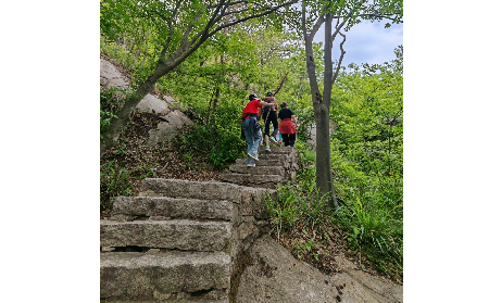 攀登者的秘密武器:隨州野生葛根粉的能量奇跡
