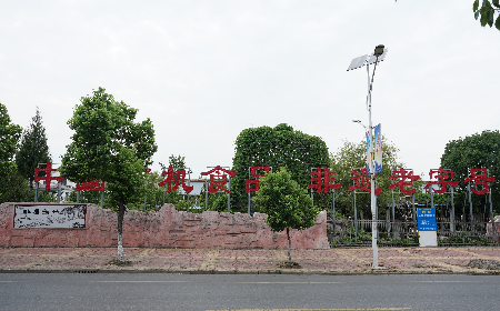 當定制葛粉時，我們真正在選擇什么？