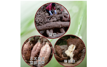 買葛粉是買野生的好？還是野生有機(jī)的好？